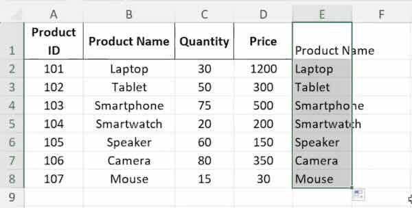 duplicate column excel