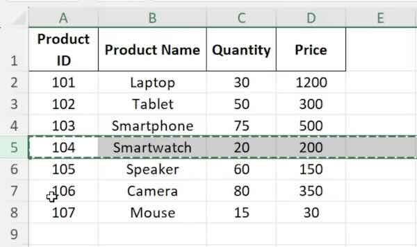 excel duplicate row