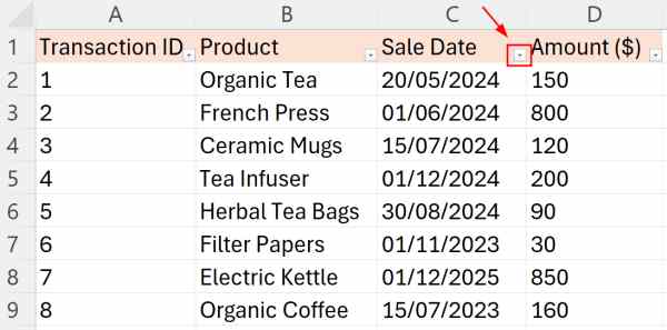 excel filter by date