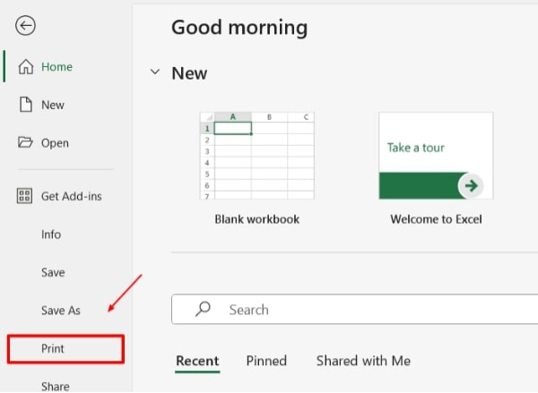 print excel with lines