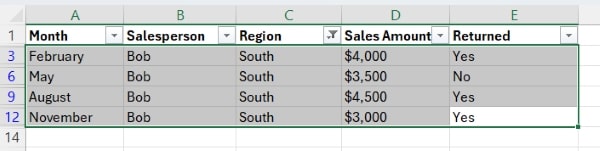 filter and delete rows in excel
