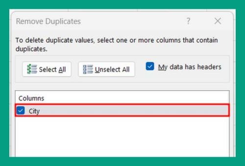 Delete Duplicates Based on One Column in Excel (2024 Update)