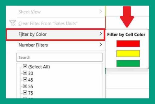 Filter by Color in Excel (Easiest Way in 2024)