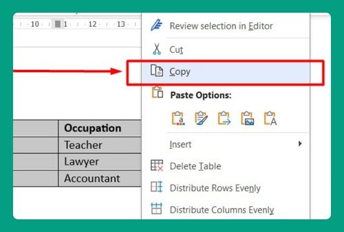 How to Copy Table from PDF to Excel (Easiest Way in 2024)