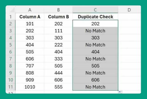 How to Find Duplicate Values in Excel Using VLOOKUP (2024)