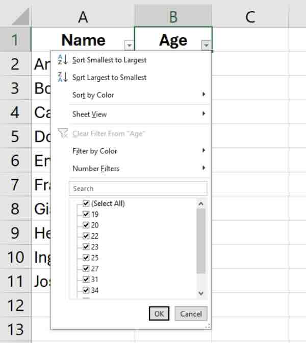 excel how to add filter drop down