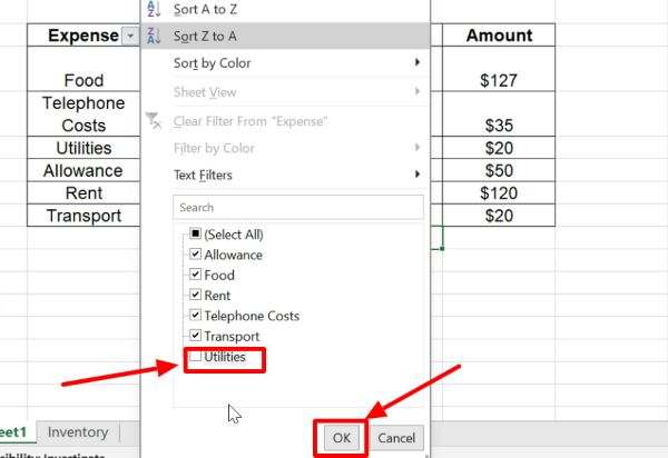 how to filter in excel based on a list