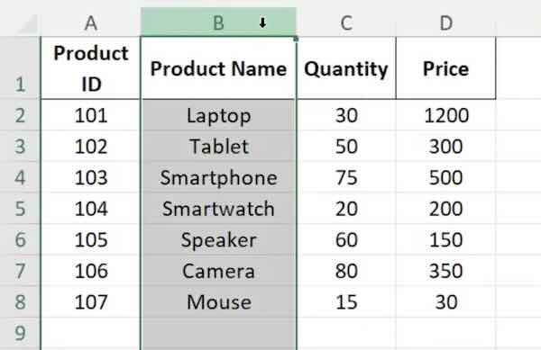 excel duplicate column