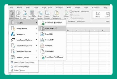 Import Data From Word to Excel (Easiest Way in 2024)